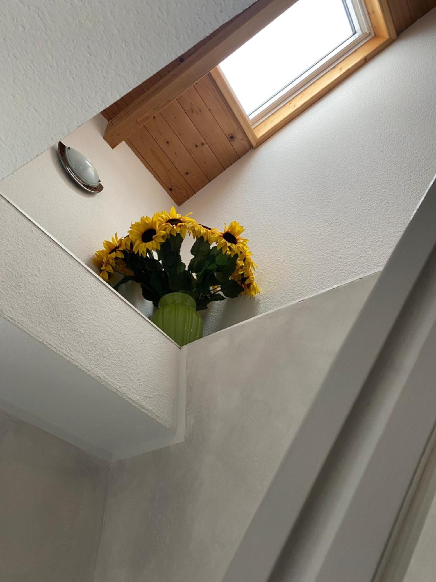 Haus Seewind Warnemuende ロストック エクステリア 写真
